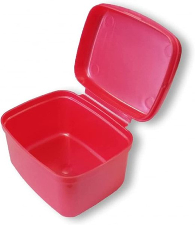 Wisdom DentureBox Pojemnik Na Protezy 