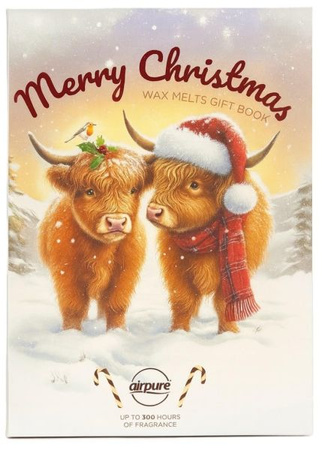 Airpure KSIĄŻKA Merry Christmas Woski Zapachowe Do Kominka KRÓWKA 132g