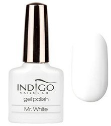Indigo Lakier Hybrydowy Mr White